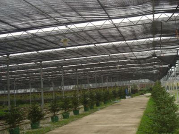 small_20161125114520